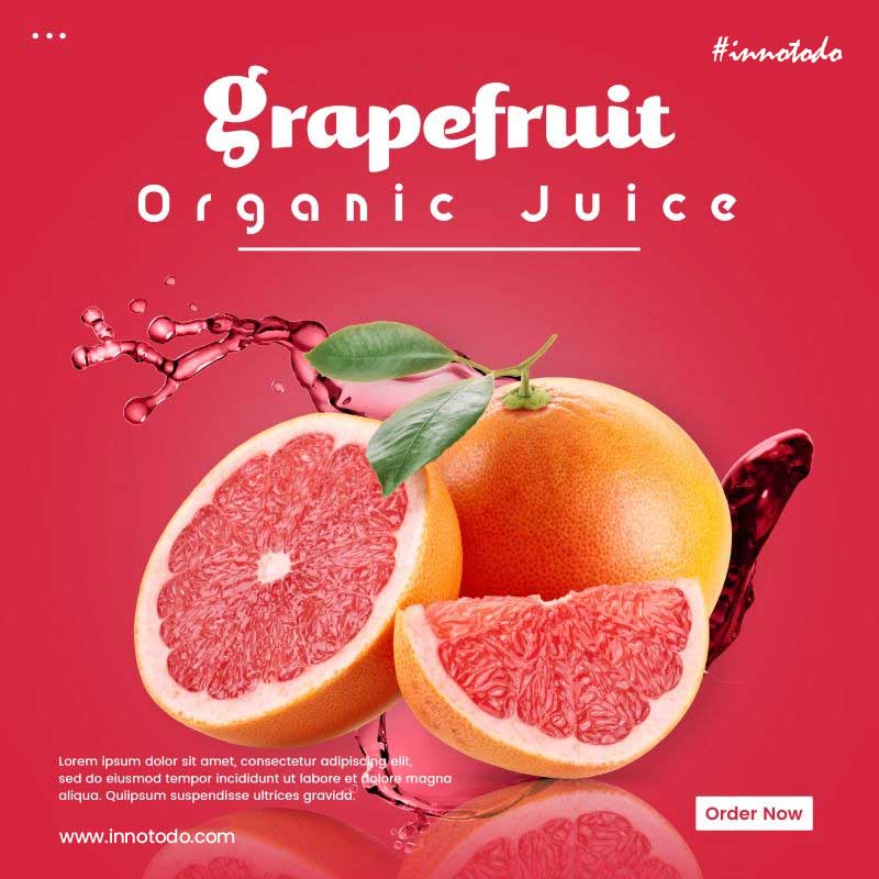 Creative Work Gallery Chennai, Design Portfolio Gallery, Website Design Showcase Chennai, Innotodo Project Gallery, Graphic Design Gallery Chennai, Digital Media Gallery Chennai